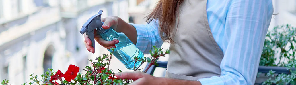 L’hortithérapie : le bonheur est dans le jardin