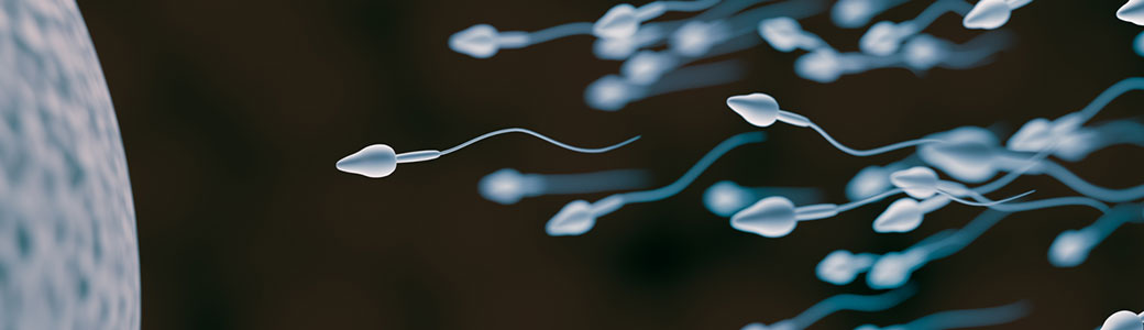 L'infertilité masculine en constante progression