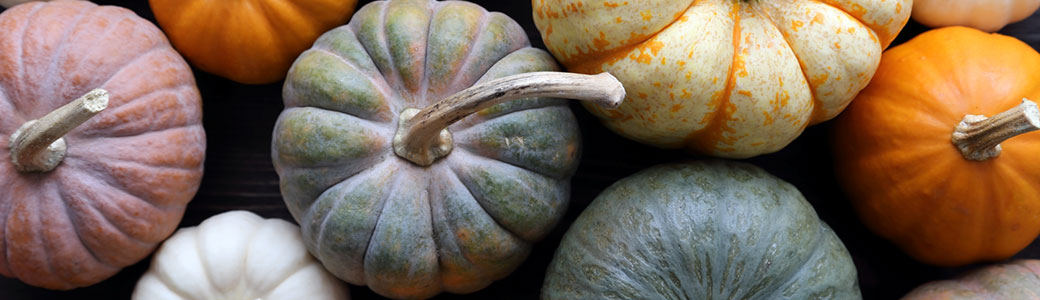 Toutes les vertus des graines de courge