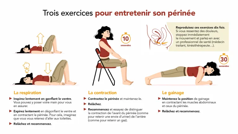 Renforcez votre périnée par des exercices simples, sans quitter votre  domicile > Blog Sphère-Santé