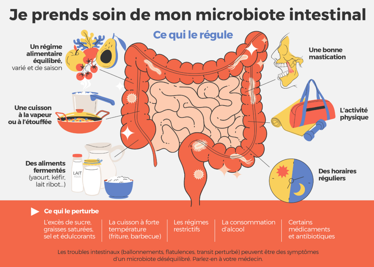 Schéma microbiote intestinal