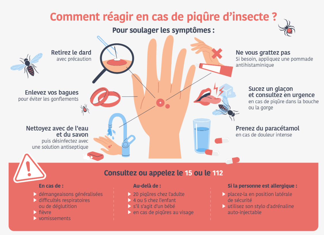 Les bons réflexes en cas de piqûre d'insecte