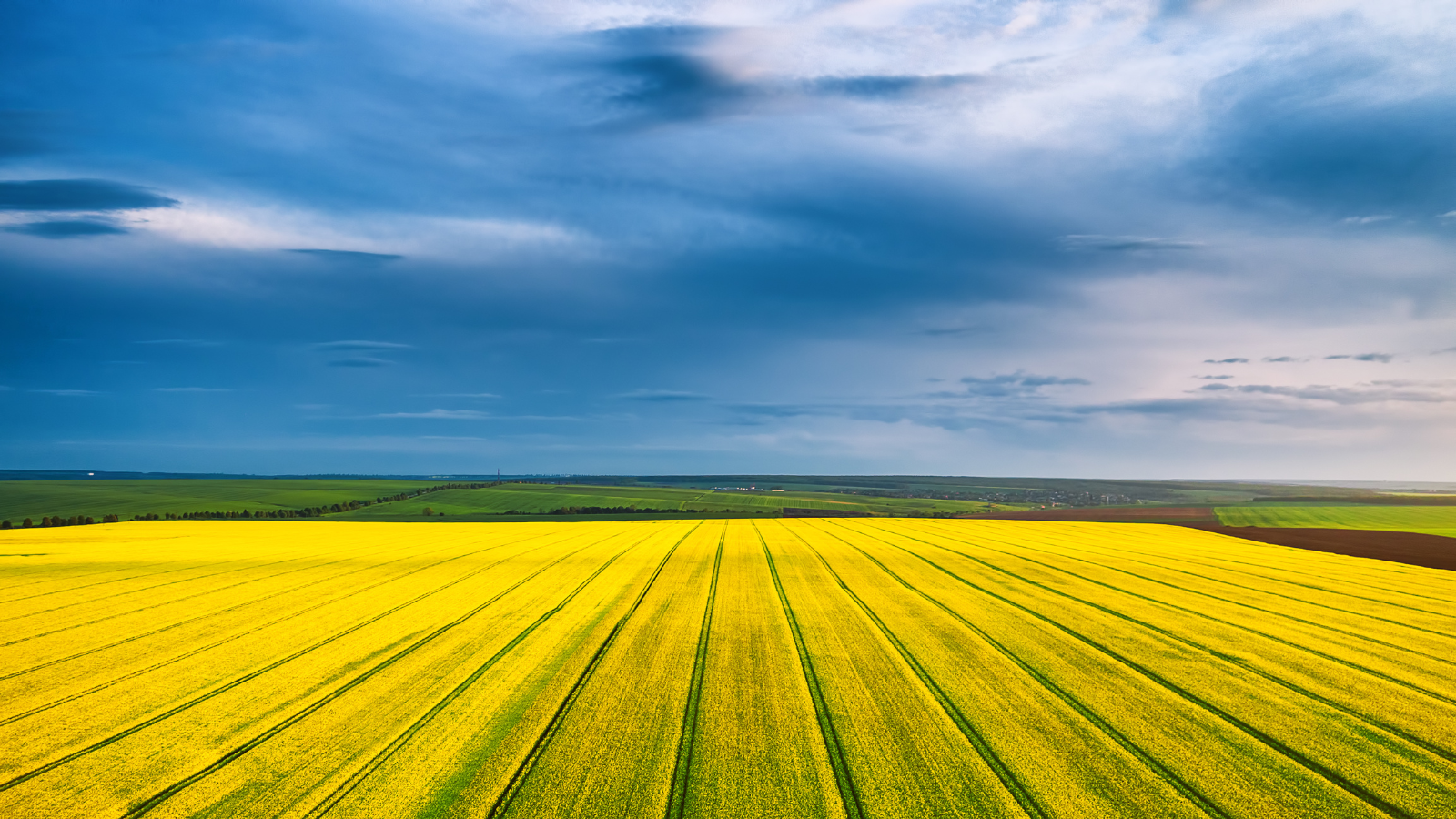 RS_Articles CIEM (9)